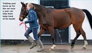  ??  ?? Trotting your horse up for the vet once a year can help them keep track of his health