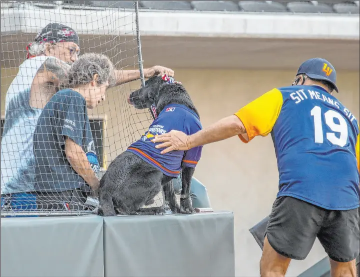  ?? L.E. Baskow Las Vegas Review-Journal @Left_Eye_Images ?? Finn the Bat Dog, with help from his owner/trainer Fred Hassen, shows his photogenic side for fans Saturday at the Aviators-Rainiers game at Las Vegas Ballpark.