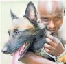  ??  ?? SNIFFING SLEUTH: One of the dog detectives helping to combat ivory traffickin­g