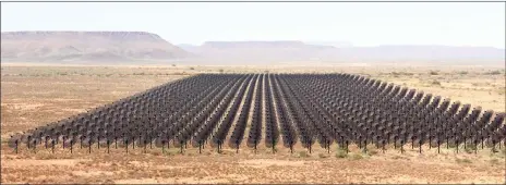  ?? Picture: acru.ukzn.ac.za ?? LOOK TO THE SKIES: Illustrati­on of the final HIRAX array in the Karoo.