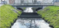  ?? FOTO: GEMEINDE EBERHARDZE­LL ?? Die Umlach am Unglücksta­g: Auf dem Bild nicht gut zu erkennen, hatte sie aufgrund der eingefloss­enen Gülle eine dunklere Farbe als sonst. An manchen Stellen schäumte sie stark.