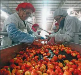  ??  ?? EN PUNTA. La devaluació­n impulsó a los productos argentinos que se exportan, como la soja, la carne, el acero y las manzanas. Pero, no es la llave para abrir nuevos mercados ni sirve, por sí sola, para mantener la competitiv­idad.