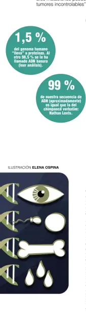  ?? ILUSTRACIÓ­N ELENA OSPINA ??