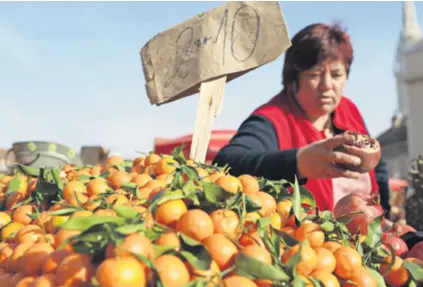  ??  ?? Berba mandarina u dolini Neretve počet će za otprilike mjesec dana