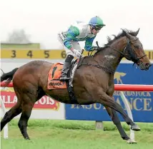  ?? PHOTO: TRISH DUNELL ?? Bullrush brushed his rivals aside at Hastings suggesting he will be competitiv­e in bigger races.