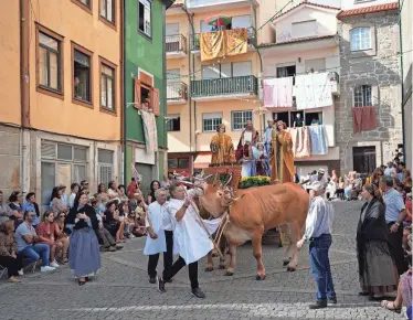  ?? FRANCA/AP ARMANDO ?? A handler struggles to control an ox pulling a float portraying the Assumption of the Virgin Mary, during the Our Lady of Remedies procession in the small town of Lamego, in the Douro River Valley, Portugal.