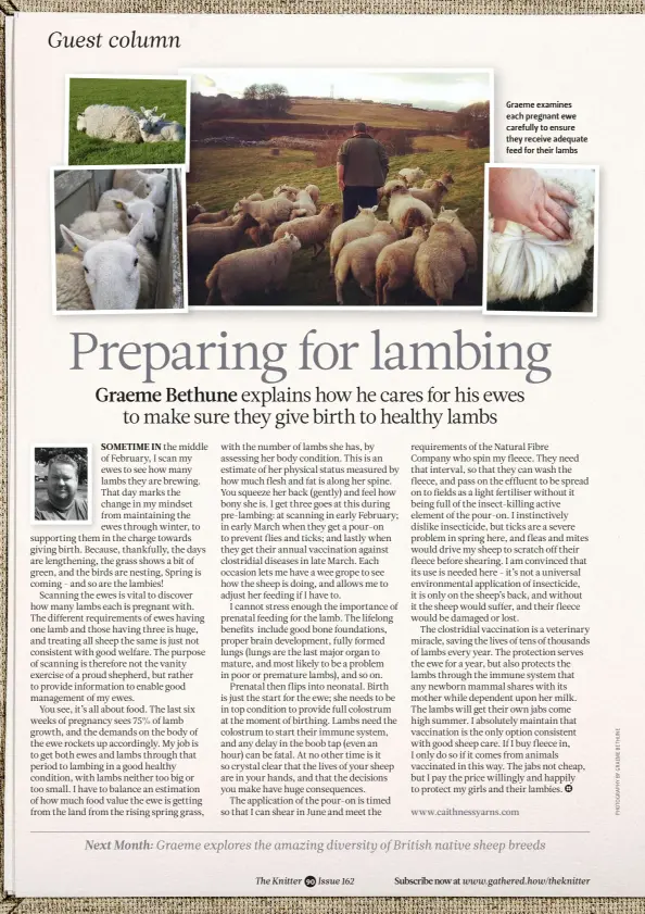  ??  ?? Graeme examines each pregnant ewe carefully to ensure they receive adequate feed for their lambs