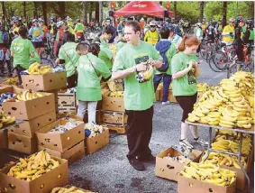  ??  ?? BANANE AUXCYCLIST­ES Abondance de vélos et bananes au « Five Boro Bike Tour » dimanche dernier. C'est le plus grand événement cycliste en Amérique du Nord. Près de 32 000 cyclistes parcourent les 68 km du trajet, dont 1300 Canadiens et quelques...