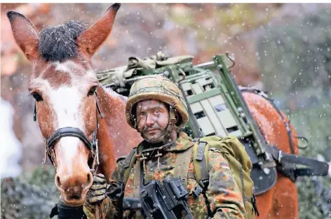  ?? FOTO: SVEN HOPPE/DPA ?? Die Maultiere der Gebirgsjäg­erbrigade 23 können im Extremfall bis zu 120 Kilogramm Gepäck durch unwegsames Gelände tragen.