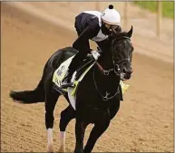  ?? Charlie Riedel / Associated Press ?? Kentucky Derby entrant Zandon works out at Churchill Downs on Wednesday in Louisville, Ky.