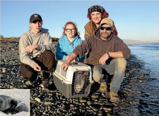  ?? ROBYN EDIE/STUFF 634580590 ?? The Knapp family, from left, Jimmi, 17, Marli, 14, Sandie (back), and Dee, with the seal at the coast where they released it.