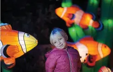  ??  ?? Something fishy: Beth Healy at Dublin Zoo’s Wild Lights