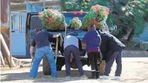  ?? U-T FILE ?? Real Christmas trees can be recycled curbside on collection days or brought to drop-off sites throughout San Diego County.