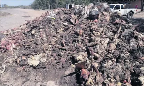  ?? FOTO: DEBATE ?? Las vísceras fueron depositada­s en una zona cercana al retén de El Desengaño.