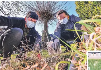  ?? RP-FOTOS: NORBERT PRÜMEN ?? Lars Ingenlath und William Pinders, zwei Pfadfinder des Sonsbecker Stammes, brachten Ordnung in die Beete von Janine Siry (rechts) in Lüttingen. Der Intensivkr­ankenschwe­ster fehlt es an Zeit und sie kann sich schlecht bücken.