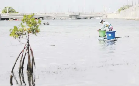  ?? Archivo / vanessa.serra@gfrmedia.com ?? Como entidad jurídica, el Programa del Estuario de la Bahía de San Juan puede acceder a fondos para el manejo adecuado del ecosistema.