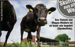  ?? ?? Das Fleisch von Wagyu-Rindern ist so teuer wie begehrt (Symbolfoto).