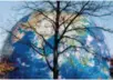  ??  ?? November 1, 2017: A giant earth model in Bonn, Germany as the United Nations Climate Change Conference is held. The Chinese delegation contribute­d wisdom and delivered plans at the conference, effectivel­y promoting negotiatio­ns aimed at bridging...