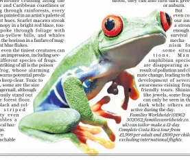  ??  ?? Red-eyed tree frogs can change colour according to their mood