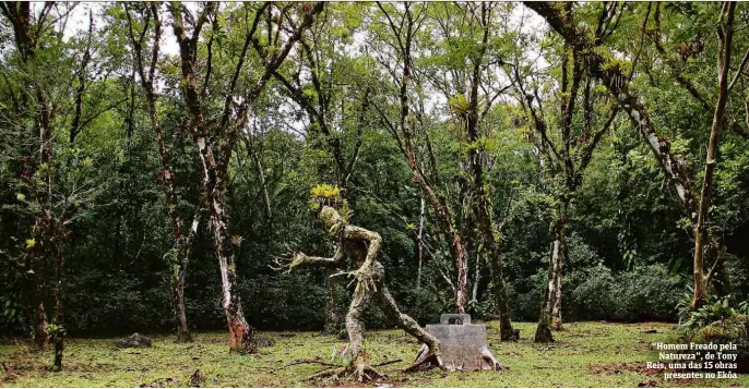  ??  ?? “Homem Freado pela Natureza”, de Tony Reis, uma das 15 obras presentes no Ekôa