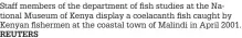  ?? REUTERS ?? Staff members of the department of fish studies at the National Museum of Kenya display a coelacanth fish caught by Kenyan fishermen at the coastal town of Malindi in April 2001.