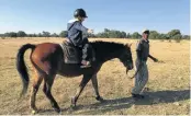  ??  ?? SPREAD Breakfast in the bush, left; and horseridin­g help is at hand for little ones, above.