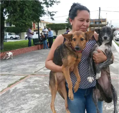  ?? ARCHIVO/MILENIO ?? Se ha observado que hay un gran cariño por las mascotas, expresó en su momento la alcaldesa de Tampico.