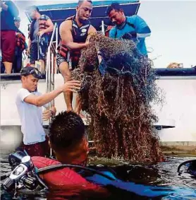  ??  ?? Sukarelawa­n membawa keluar pukat hantu yang ditemui di perairan Taman Laut Johor.