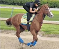  ?? CHARLIE RIEDEL/AP ?? Kentucky Derby favorite Justify trains over the track at Churchill Downs in Louisville, Ky., earlier this week.