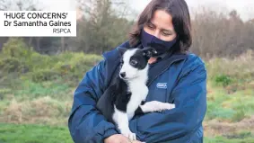  ?? RSPCA ?? ‘HUGE CONCERNS’ Dr Samantha Gaines