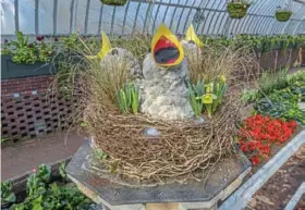  ?? Paul G. Wiegman ?? Baby birds made from dried plant material in grapevine nests were part of Phipps Conservato­ry's Spring Flower Show in March 2019.