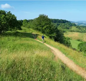  ?? ?? THE PERFECT TRAIL? PROBABLY.
Can you picture a more idyllic walk than the Cotswold Way on a summer day?