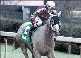  ?? The Sentinel-Record/RICHARD RASMUSSEN ?? Chanel’s Legacy, ridden by jockey Alex Birzer, won the Dixie Belle Stakes and the Martha Washington Stakes earlier this season at Oaklawn under the guidance of trainer Lynn Chleborad. The 3-year-old filly will look to win her third stakes race today in...