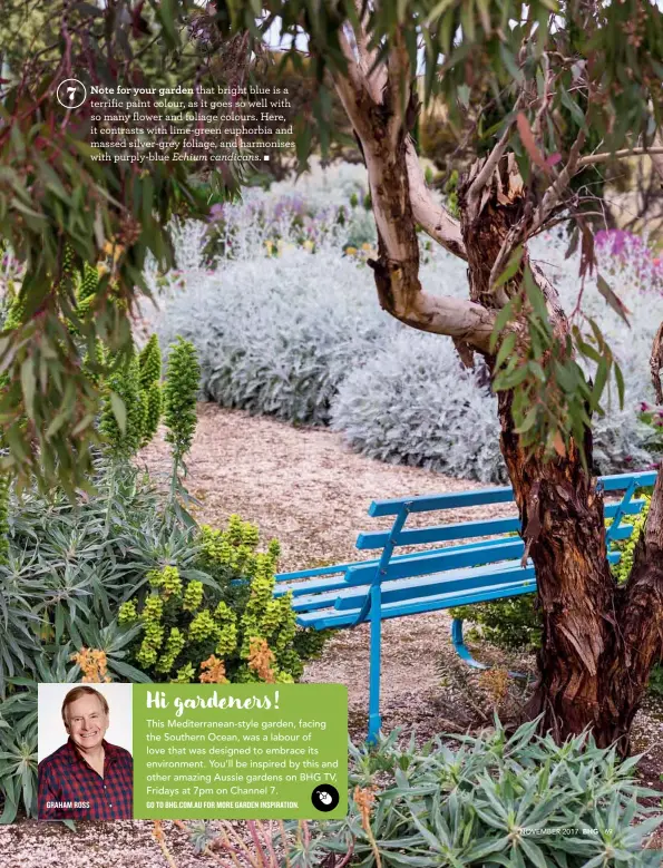  ??  ?? 7 Note for your garden that bright blue is a terrific paint colour, as it goes so well with so many flower and foliage colours. Here, it contrasts with lime-green euphorbia and massed silver-grey foliage, and harmonises with purply-blue Echium candicans.