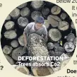  ??  ?? DEFORESTAT­ION Trees absorb Co2