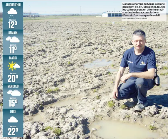  ??  ?? Dans les champs de Serge Leblanc, président de JPL Maraîcher, toutes les cultures sont en attente en raison des fortes accumulati­ons d’eau et d’un manque de soleil.