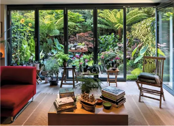  ??  ?? framing foliage (clockwise from top left) Bifold doors open onto the patio, where jasmine, clematis and ivy cloak the fences; agapanthus and succulents soak up the sun; echeveria, sedums and sempervivu­ms; a romping mat of green Soleirolia soleirolii has overrun a small Buddha ornament; succulents thrive in a suntrap just outside the patio doors