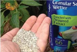  ??  ?? Granular soil wetters should be used on garden beds, lawns and pots to maximise rainfall and irrigation infiltrati­on.