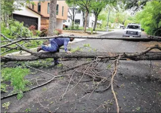  ?? PHOTOS BY RODOLFO GONZALEZ / AUSTIN AMERICAN-STATESMAN ?? Alex Garcia, a worker with the city’s street and bridge operations, inspects a downed tree Monday in the 1400 block of Burford Place. Trees and limbs felled by strong winds were the primary cause of widespread power outages in Travis County.