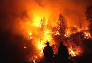  ??  ?? Firefighte­rs monitor a back fire as they battle the Medocino Complex fire near Lodoga, California. — AFP photo