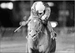  ?? COADY PHOTOGRAPH­Y ?? After winning his first two starts on the lead, Run to Daylight rallied from off the pace to take the Vincent Moscarelli (above).