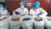  ?? LI AN / XINHUA ?? Medical workers prepare herbs for use in traditiona­l Chinese medicine at the decoction center of Zhengzhou TCM Hospital in Henan province on Tuesday.