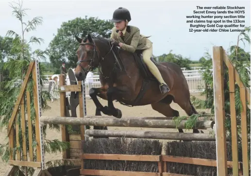  ??  ?? The ever-reliable Stockham Secret Envoy lands the HOYS working hunter pony section title and claims top spot in the 133cm Burghley Gold Cup qualifier for 12-year-old rider Chloe Lemieux