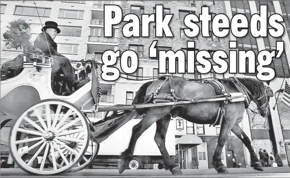 ??  ?? UNSTABLE HOME: A carriage horse pulls its driver around Central Park in April. Activists say poor city record keeping puts the beasts in harm’s way.