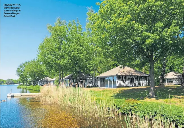  ?? ?? ROOMS WITH A VIEW: Beautiful surroundin­gs at Beekse Bergen Safari Park.