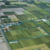  ??  ?? MARKET LAND: Boundary lines (indicative only) for Pernel Orchard.