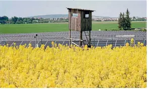  ?? — AFP ?? Sea of yellow: A file picture of a rapeseed field in full bloom next to solar panels near the Czech city of Prostejov.