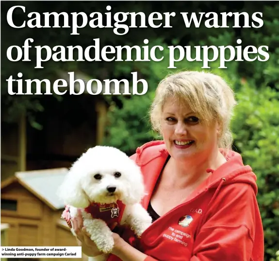  ??  ?? > Linda Goodman, founder of awardwinni­ng anti-puppy farm campaign Cariad