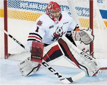  ?? BOB TYMCZYSZYN TORSTAR FILE PHOTO ?? Tucker Tynan led the Niagara IceDogs in wins, with 11, goals-against average (3.80), as well as save percentage (.910), while playing less than half a season in his rookie year.