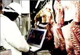  ?? TRIBUNE NEWS SERVICE ?? A worker checks the quality of beef by a device at the Greater Omaha Packing company which exports U.S. beef to China, in Omaha, Neb.